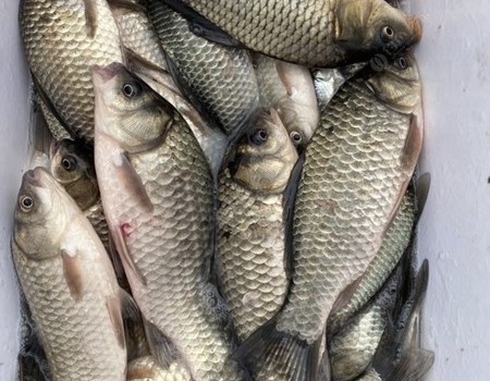 大雪纷飞水瓶结冰，体验孤舟蓑笠翁 独钓寒江雪的乐趣