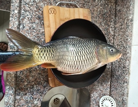 抬杠大师再次出战，电工扫荡也抵挡不住我爆护～