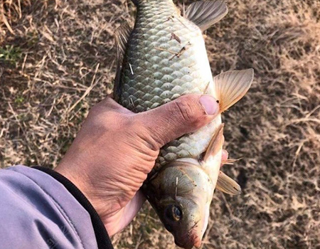 学习才能进步，从钓鱼方程式进化成钓无定法