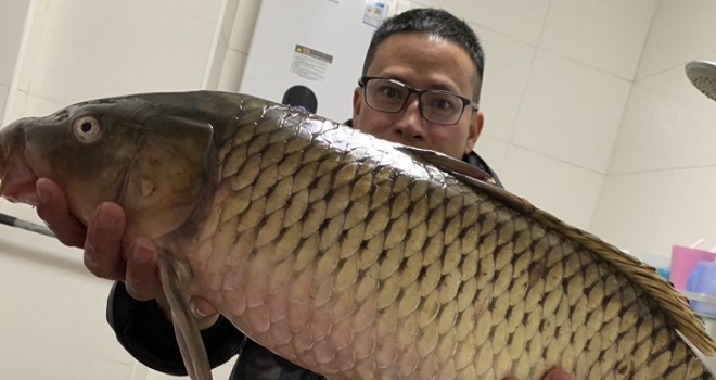 2021年的第一钓，擒大鲤，开门红！