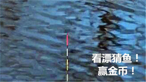 看漂相听声音来猜鱼赢金币！【703期】