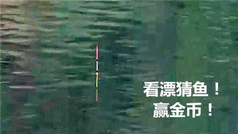 看漂相听声音来猜鱼赢金币！【706期】